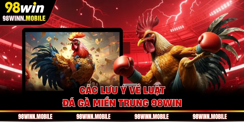 Các lưu ý về luật đá gà miền Trung 98WIN