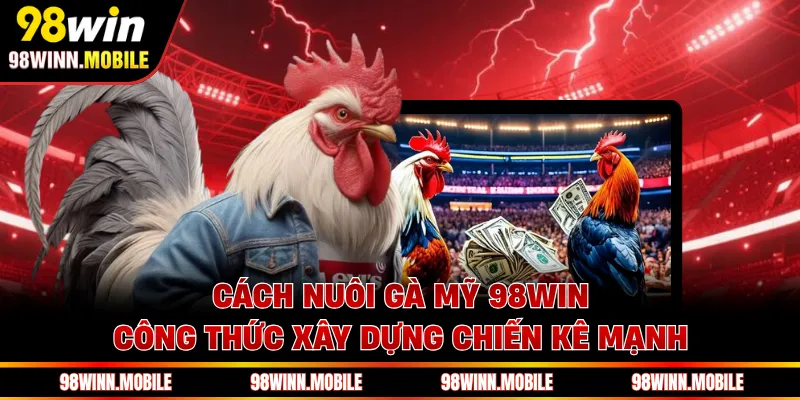Cách Nuôi Gà Mỹ 98WIN - Công Thức Xây Dựng Chiến Kê Mạnh