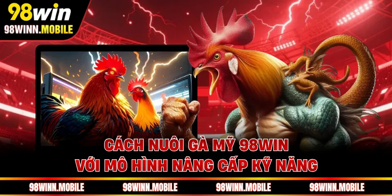 Cách nuôi gà Mỹ 98WIN với mô hình nâng cấp kỹ năng