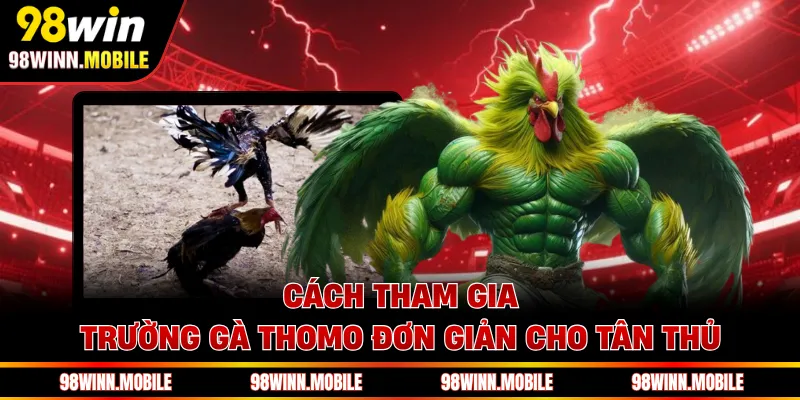 Cách tham gia trường gà Thomo đơn giản cho tân thủ