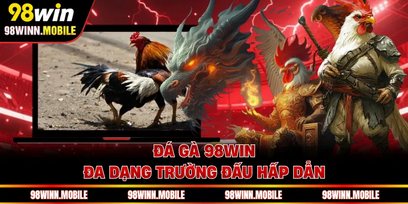 Đá gà 98WIN đa dạng trường đấu hấp dẫn