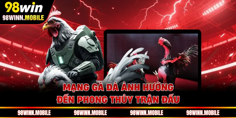 Mạng gà đá ảnh hưởng đến phong thủy trận đấu