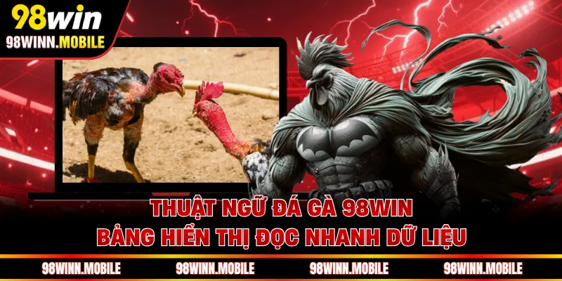 Thuật ngữ đá gà 98WIN bảng hiển thị đọc nhanh dữ liệu
