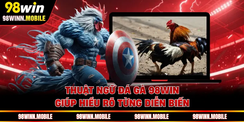 Thuật ngữ đá gà 98WIN giúp hiểu rõ từng diễn biến