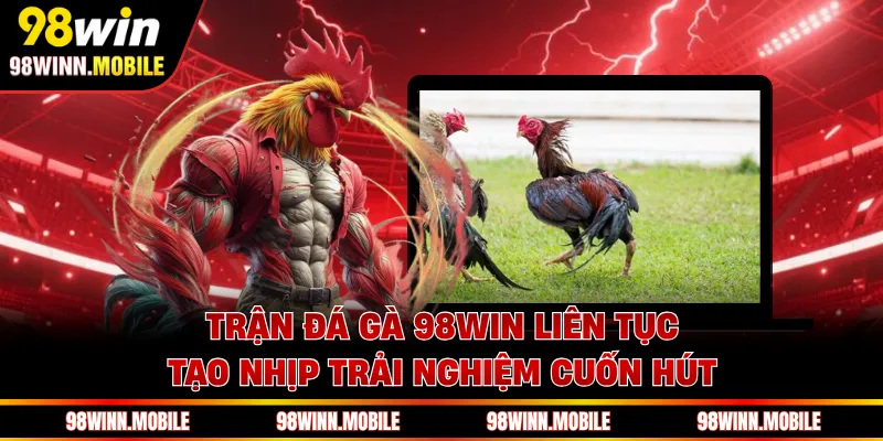 Trận đá gà 98WIN liên tục tạo nhịp trải nghiệm cuốn hút